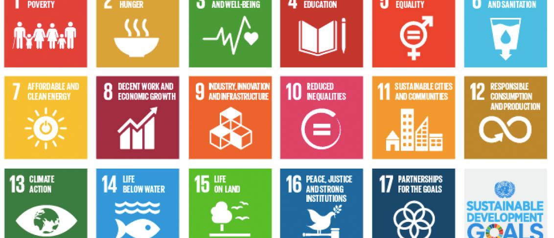 sdg 1 case study